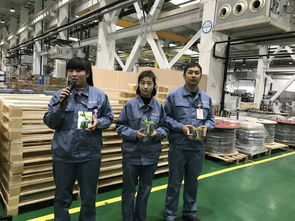 文化 當(dāng)環(huán)保意識(shí)與興趣diy相遇